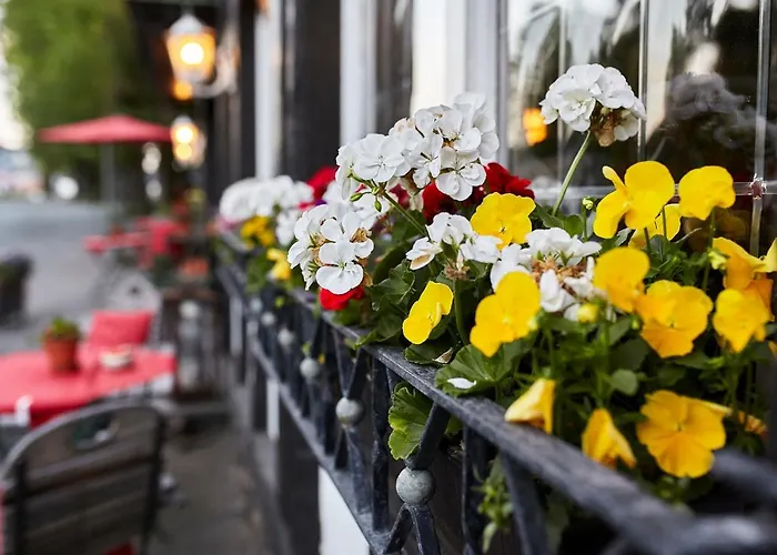 בית הארחה Zur Post